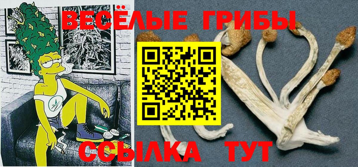 Псилоцибиновые грибы Psilocybe Зеленокумск