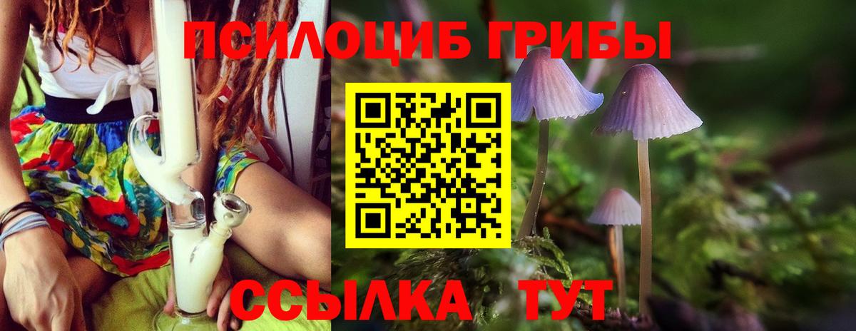 цены   Вход с VPN  Зеленокумск  Галлюциногенные грибы GOLDEN TEACHER 
